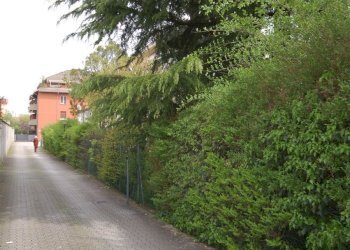 Appartamento Parma - foto 2