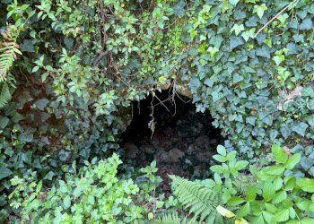 Rustic Via Fermata, Fontana Liri - photo 29