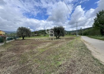 Terreno edificabile Contrada San Felice, Cicerale - foto 9