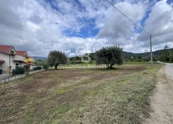 Terreno edificabile Contrada San Felice, Cicerale - foto 17