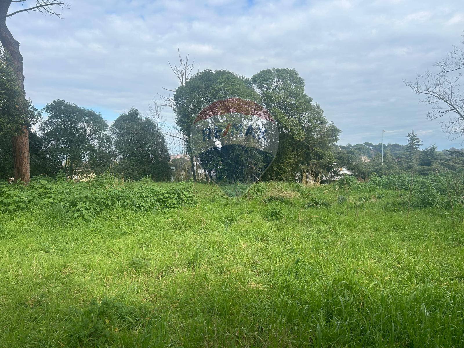 Terreno edificabile Salita Di Castel Giubileo, Roma (zona Monte Sacro) - foto 2