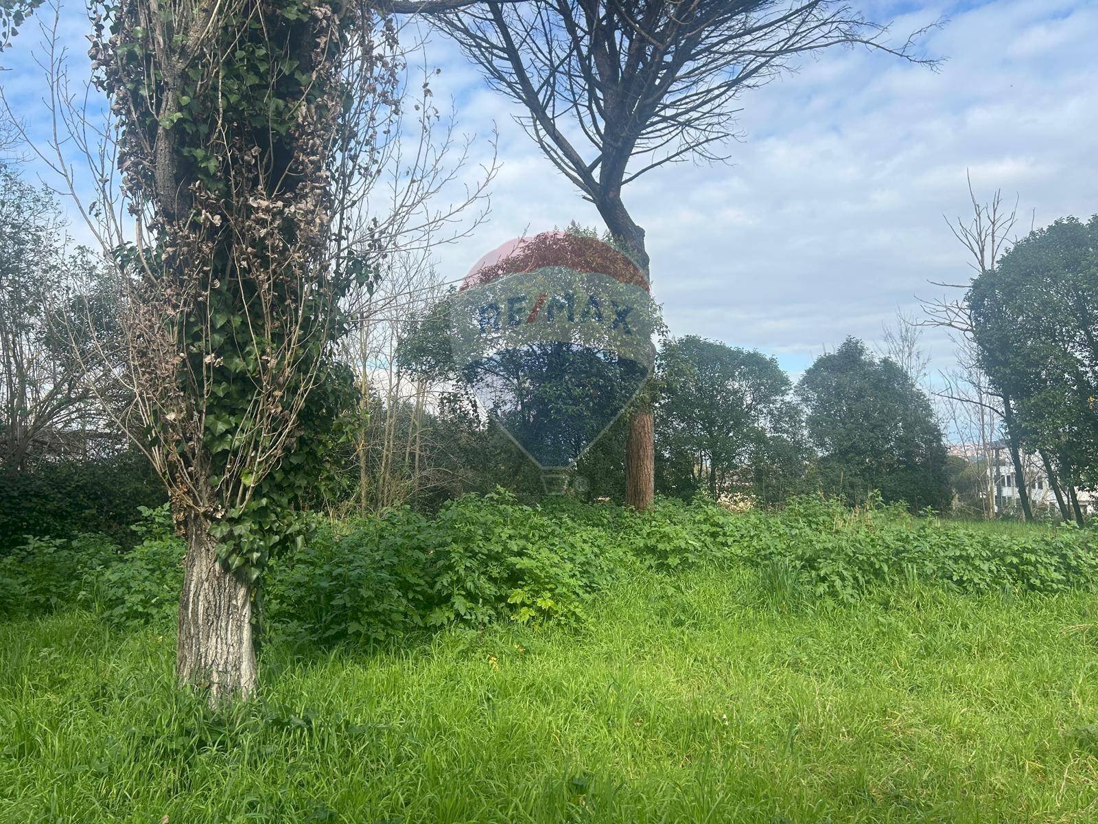 Terreno edificabile Salita Di Castel Giubileo, Roma (zona Monte Sacro) - foto 3