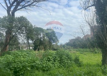 Terreno edificabile Salita Di Castel Giubileo, Roma (zona Monte Sacro) - foto 5
