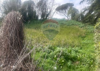 Terreno edificabile Salita Di Castel Giubileo, Roma (zona Monte Sacro) - foto 8