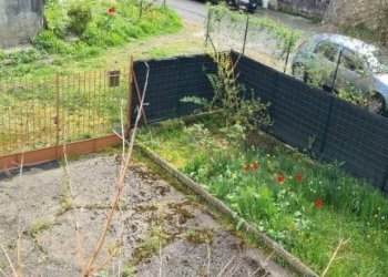 Giardino - Casa indipendente Murisengo - foto 16