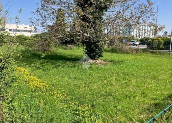 Terreno edificabile Via paolo frisi, Melegnano - foto 6