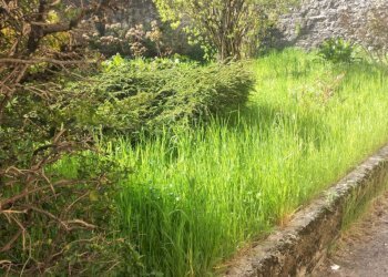 Portion of a house Castelnovo ne' Monti - photo 6