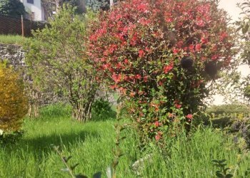 Portion of a house Castelnovo ne' Monti - photo 7