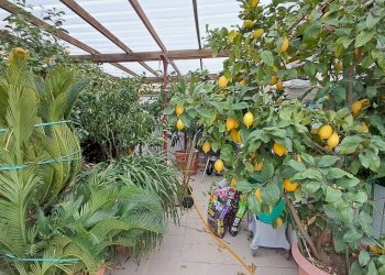 Appartamento Forlì - foto 32