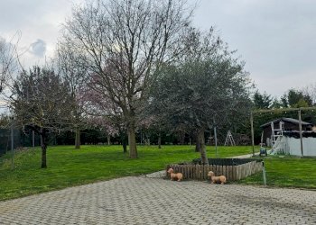 Porzione di casa Castel Maggiore - foto 27