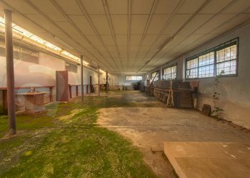 Locale Commerciale Strada Piave, Latina - foto 25