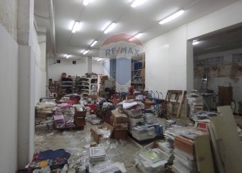 Capannone Casavatore - foto 6