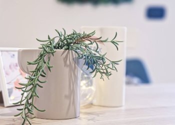 Villa a Schiera Telese Terme - foto 23