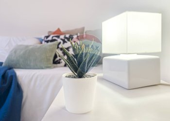 Villa a Schiera Telese Terme - foto 6