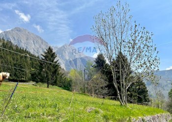 Appartamento Lozio - foto 22