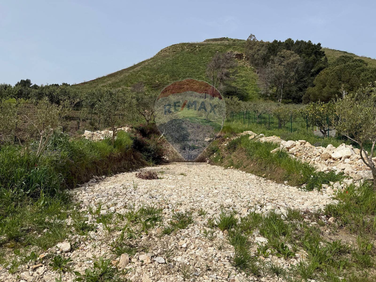 Terreno agricolo Contrada Luziano, Buseto Palizzolo - foto 1