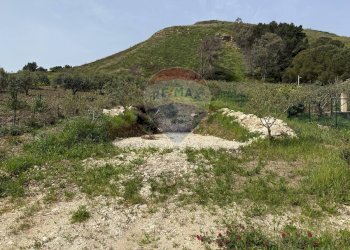 Terreno agricolo Contrada Luziano, Buseto Palizzolo - foto 3