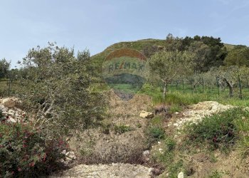 Terreno agricolo Contrada Luziano, Buseto Palizzolo - foto 4