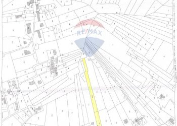 Terreno agricolo Contrada Luziano, Buseto Palizzolo - foto 10