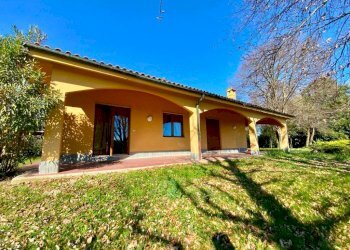 Giardino - Villa strada Cenasco, Moncalieri - foto 1