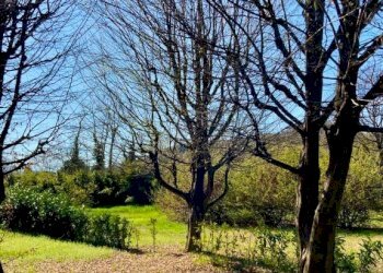 Terreno - Villa strada Cenasco, Moncalieri - foto 16