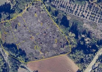 Mappa - Terreno edificabile strada Provinciale Calcare-Dendalo, Casacanditella - foto 2