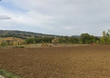 Terreno - Terreno edificabile strada Provinciale Calcare-Dendalo, Casacanditella - foto 5