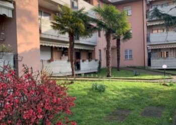 Giardino - Three-room apartment via Giovanni Falcone, Garbagnate Milanese - photo 2