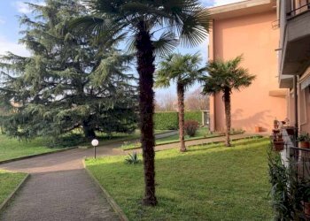 Giardino - Three-room apartment via Giovanni Falcone, Garbagnate Milanese - photo 4