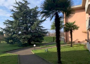 Giardino - Three-room apartment via Giovanni Falcone, Garbagnate Milanese - photo 31