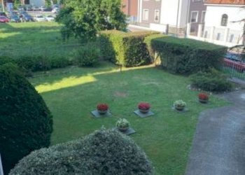 Giardino - Trilocale via Francesco Cilea, Cesate - foto 3