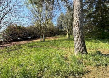 Villa Castagnole delle Lanze - foto 13