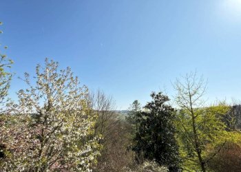 Villa Castagnole delle Lanze - foto 44