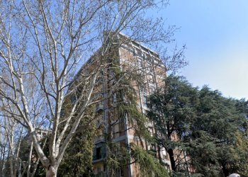 Apartment Reggio nell'Emilia - photo 1