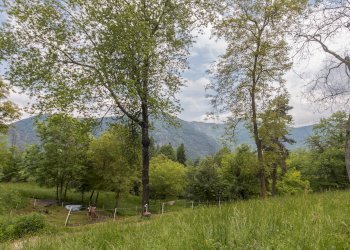 Esterna - Baita Regione Piossasco Praletti Superiori, SNC, Dronero - foto 28