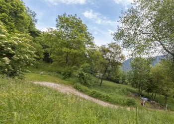 Esterna - Baita Regione Piossasco Praletti Superiori, SNC, Dronero - foto 29