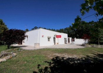 Rustico Contrada Palesi, Martina Franca - foto 13