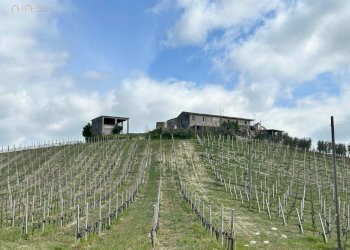 Rustico Contrada San Venanzo, Castignano - foto 1