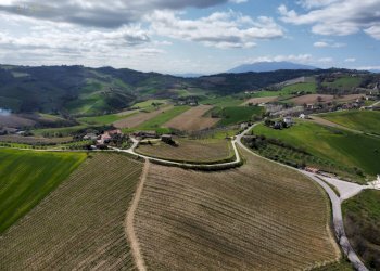 Rustico Contrada San Venanzo, Castignano - foto 6