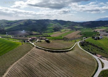 Rustico Contrada San Venanzo, Castignano - foto 9