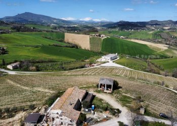 Rustico Contrada San Venanzo, Castignano - foto 16