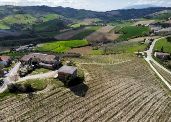 Rustico Contrada San Venanzo, Castignano - foto 19