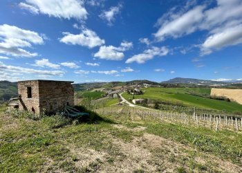 Rustico Contrada San Venanzo, Castignano - foto 25