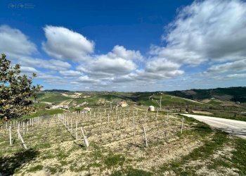 Rustico Contrada San Venanzo, Castignano - foto 27