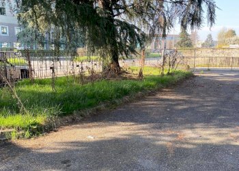 Capannone Via Umbria, San Mauro Torinese - foto 4