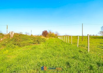 Rustic Cardè - photo 6