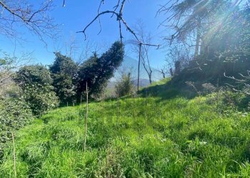 Giardino - Casa indipendente via Filippo da Pietracuta, San Leo - foto 3