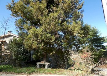 Giardino - Trilocale Località Col del Sole, Bossolasco - foto 22