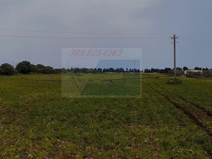 terreno - Terreno agricolo Via dell'Opale, Siracusa - foto 3