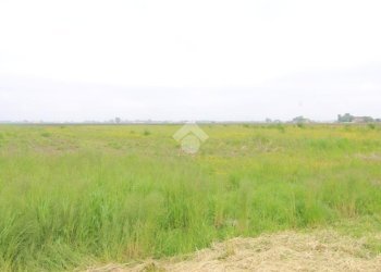 Rustico Via Salvi, Bagnolo in Piano - foto 23